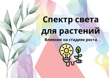 Спектр света для растений
