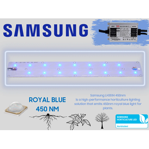 Booster PREMIUM Samsung 450NM ROYAL BLUE - 40 Watt