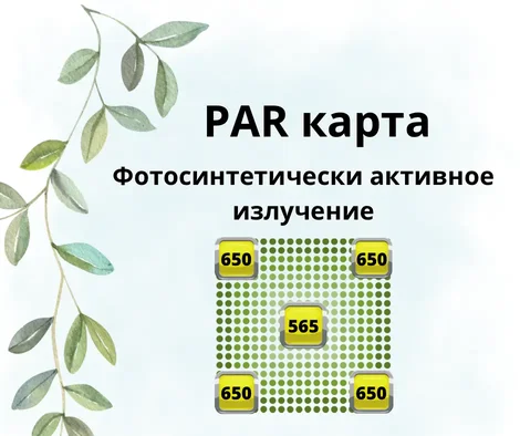 Par карта для Quantum Board