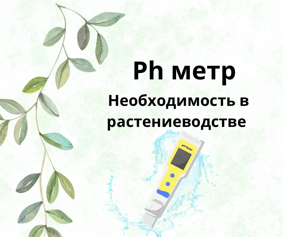 Ph метр для контроля качества воды