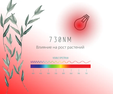 730 nm влияние спектра Far Red на растения