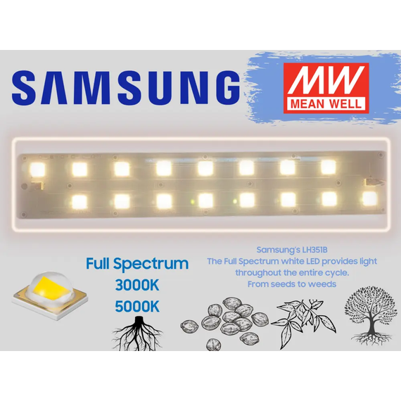 Booster Wite Custom SAMSUNG  - 39watt