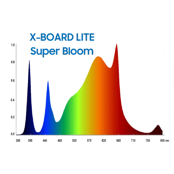 X-Board LITE 320W Samsung- ракурс 2
