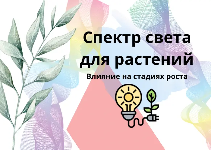 Спектр света для роста растений- циклы цветения и вегетации