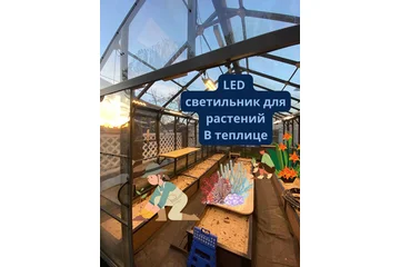 Quantum Board В теплице