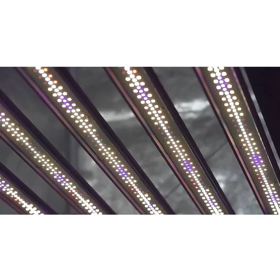 X-Board LITE Samsung 160W - ????????????