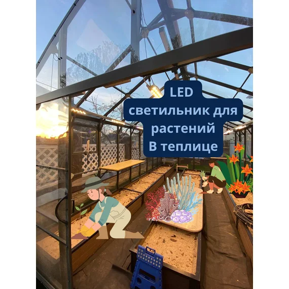 Quantum Board В теплице