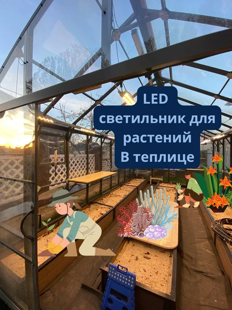 Quantum Board В теплице