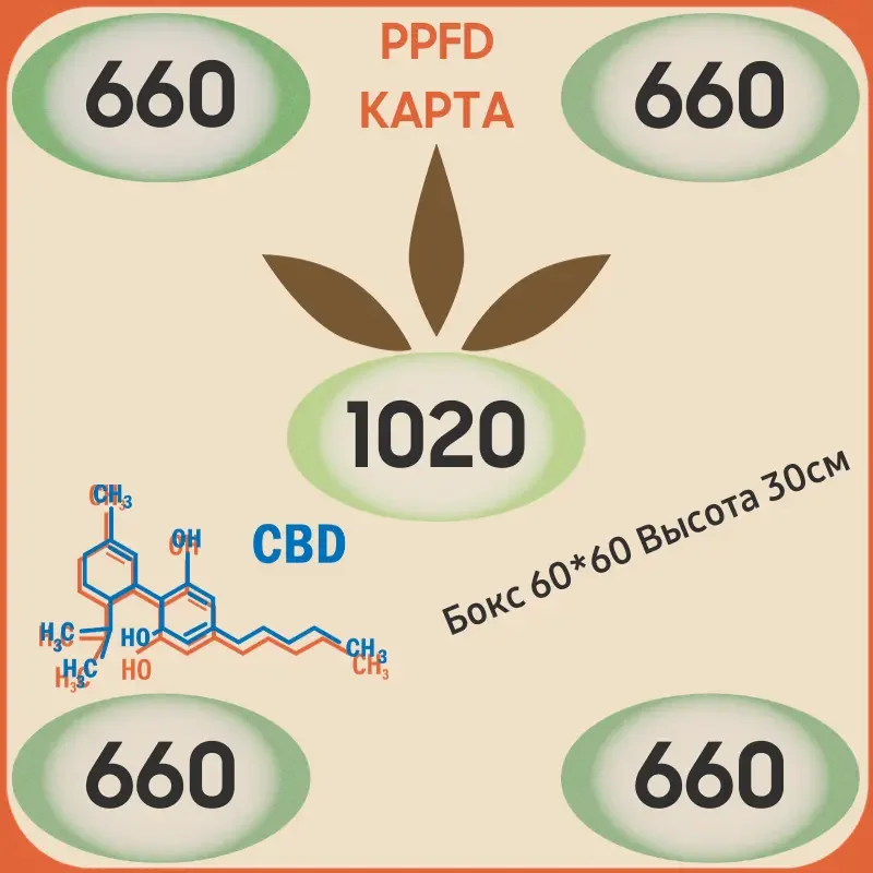 ppfd карта quantum board