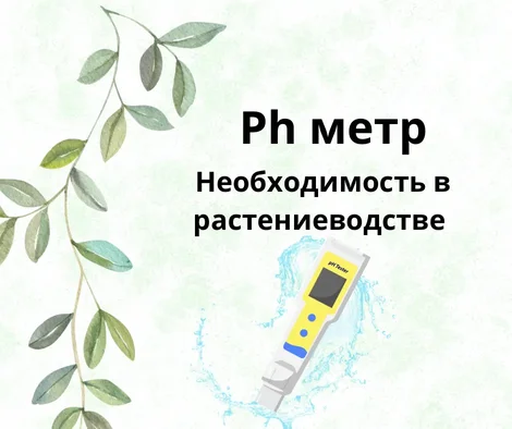 Ph метр