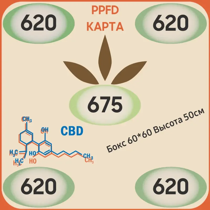 ppfd карта quantum борд