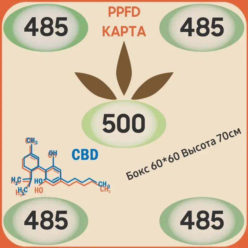 ppfd карта квантум борд