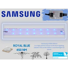 Booster PREMIUM Samsung 450NM ROYAL BLUE - 40 Watt