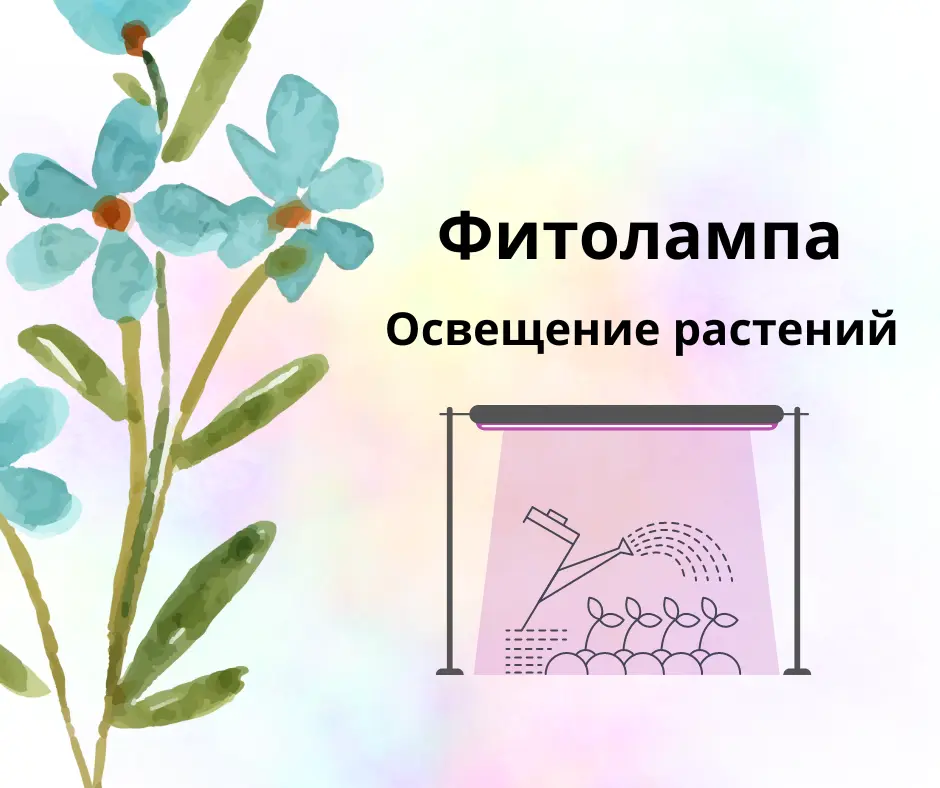Фитолампы для растений на полный цикл