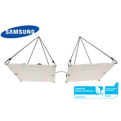 X-Board EXCLUSIVE EVO™  240 W, фото  от магазина Led-Board.ru