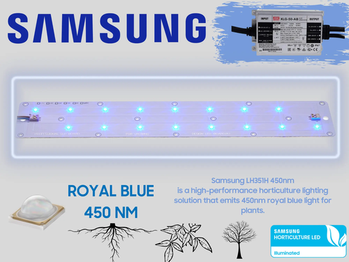 Booster PREMIUM Samsung 450NM ROYAL BLUE - 40 Watt