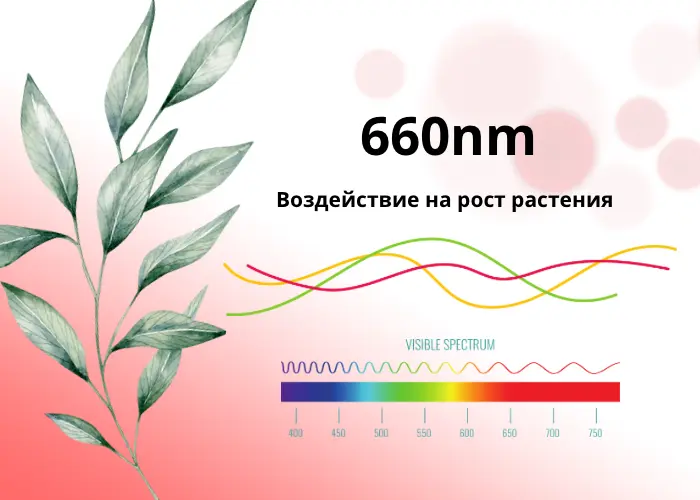 Ультрафиолетовая подсветка для растений в условиях низкой освещенности