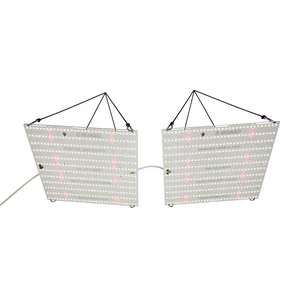 X-Board LITE V4 320 W Samsung, фото  от магазина Led-Board.ru