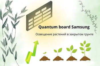 Quantum board Samsung освещение растений в закрытом грунте