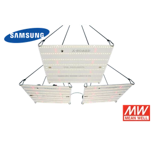 X-Board EXCLUSIVE - 320 Watt SAMSUNG, фото  от магазина Led-Board.ru